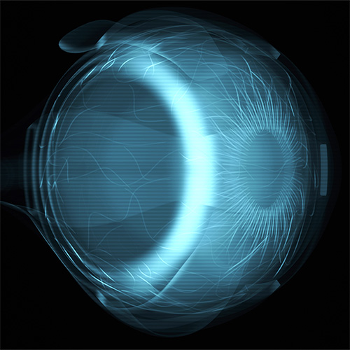 abstract 3d xray eye anatomy