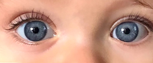 scaroni_immagine_piadriche_01